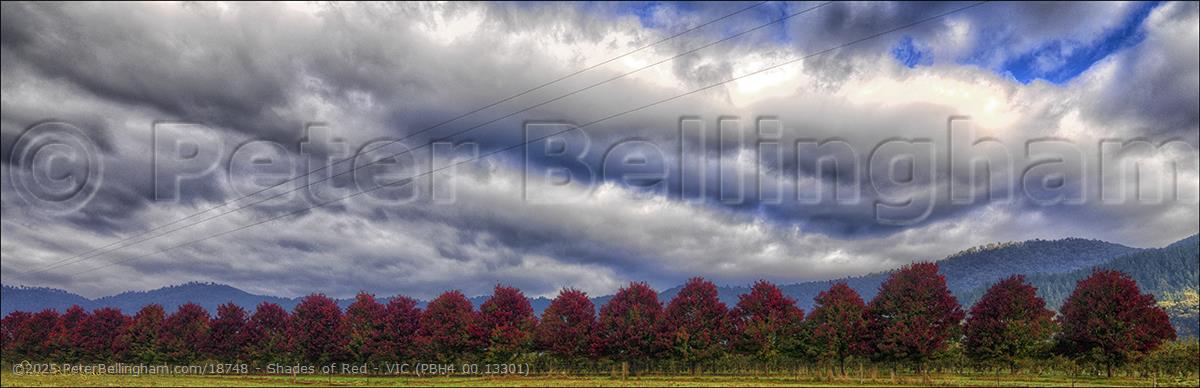 Peter Bellingham Photography Shades of Red - VIC (PBH4 00 13301)